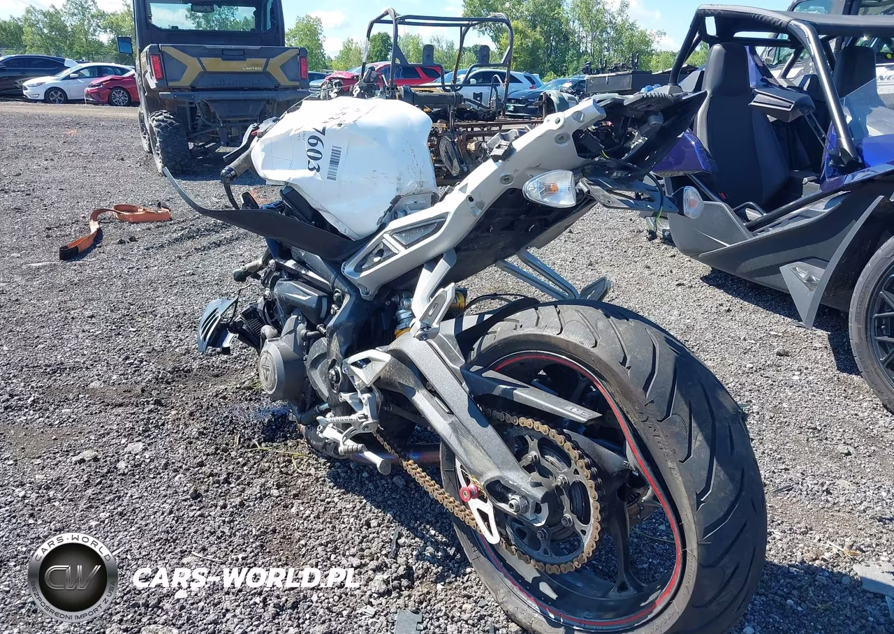 2019 Triumph Motorcycle Street Triple Rs VIN:SMTA464SXKT928070 - 3