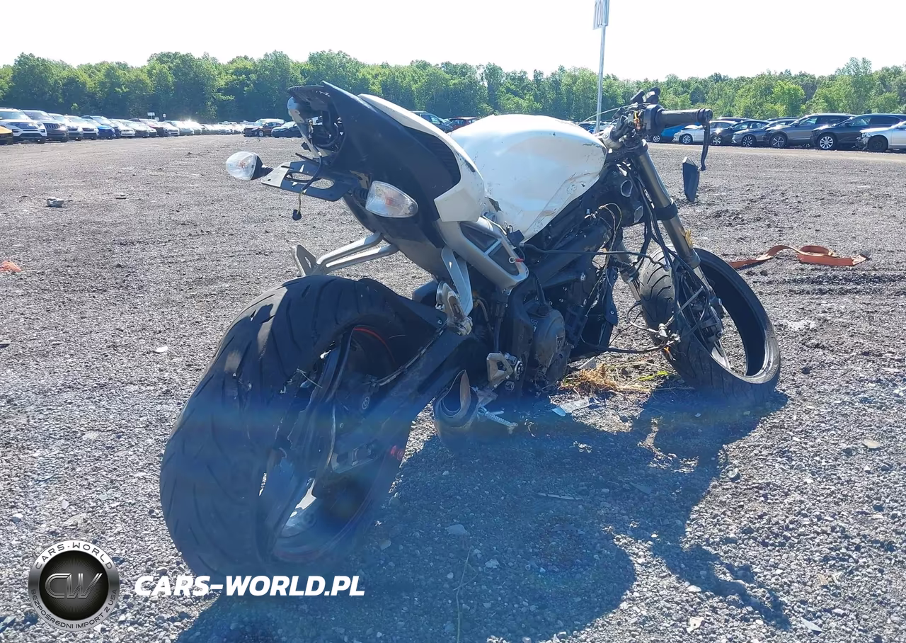 2019 Triumph Motorcycle Street Triple Rs VIN:SMTA464SXKT928070 - 4