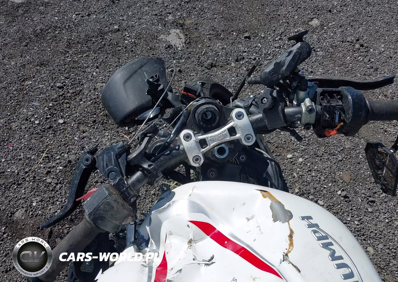 2019 Triumph Motorcycle Street Triple Rs VIN:SMTA464SXKT928070 - 7