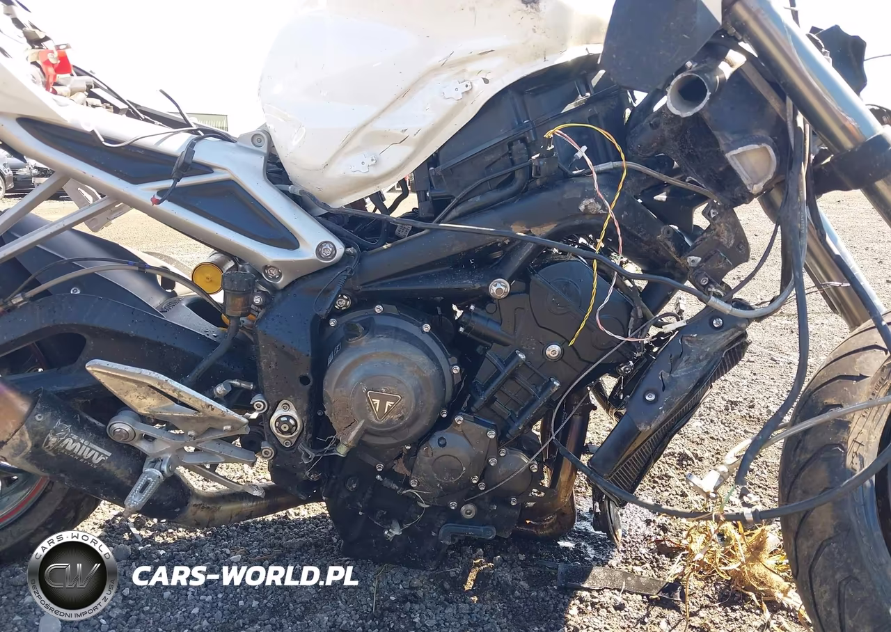 2019 Triumph Motorcycle Street Triple Rs VIN:SMTA464SXKT928070 - 8