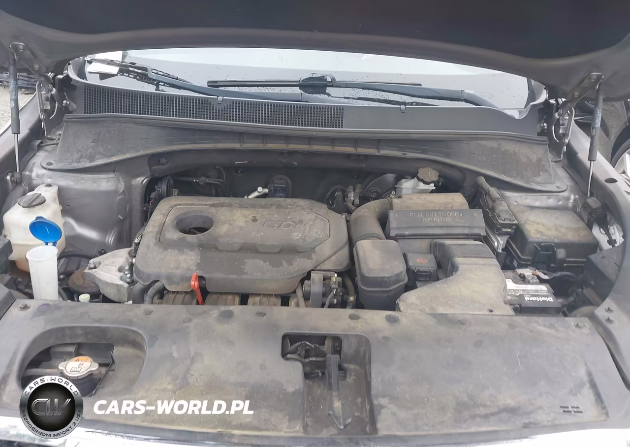 2017 Kia Sorento 2.4L Lx VIN:5XYPG4A32HG207229 - 10