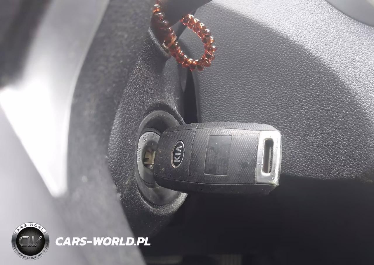 2017 Kia Sorento 2.4L Lx VIN:5XYPG4A32HG207229 - 11