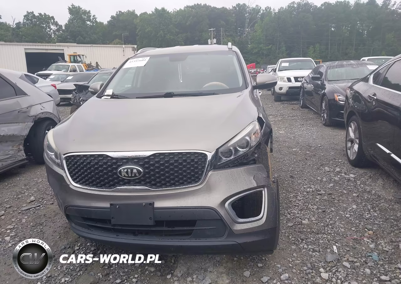 2017 Kia Sorento 2.4L Lx VIN:5XYPG4A32HG207229 - 12