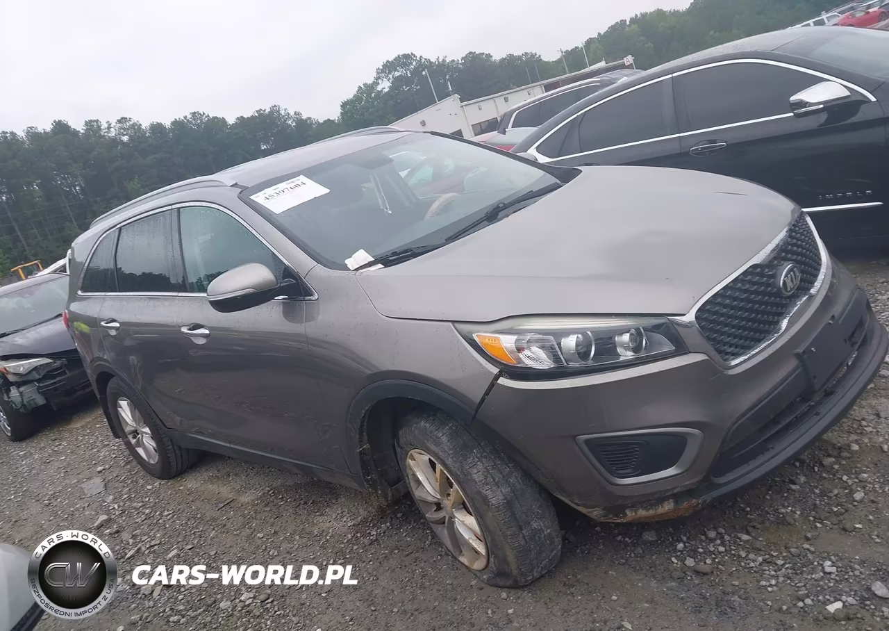 2017 Kia Sorento 2.4L Lx VIN:5XYPG4A32HG207229 - 13