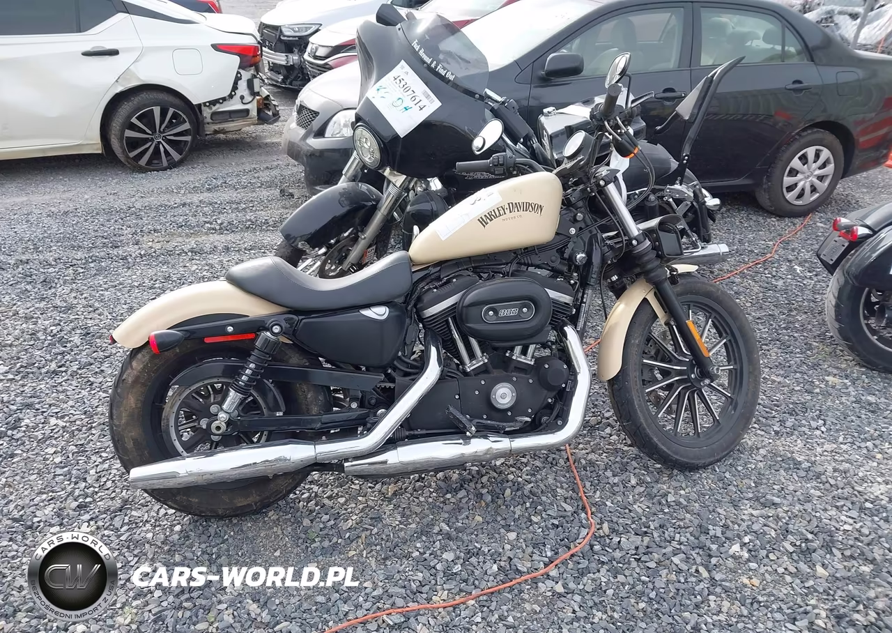 2015 Harley-Davidson Xl883 Iron 883 VIN:1HD4LE216FC436711 - 12