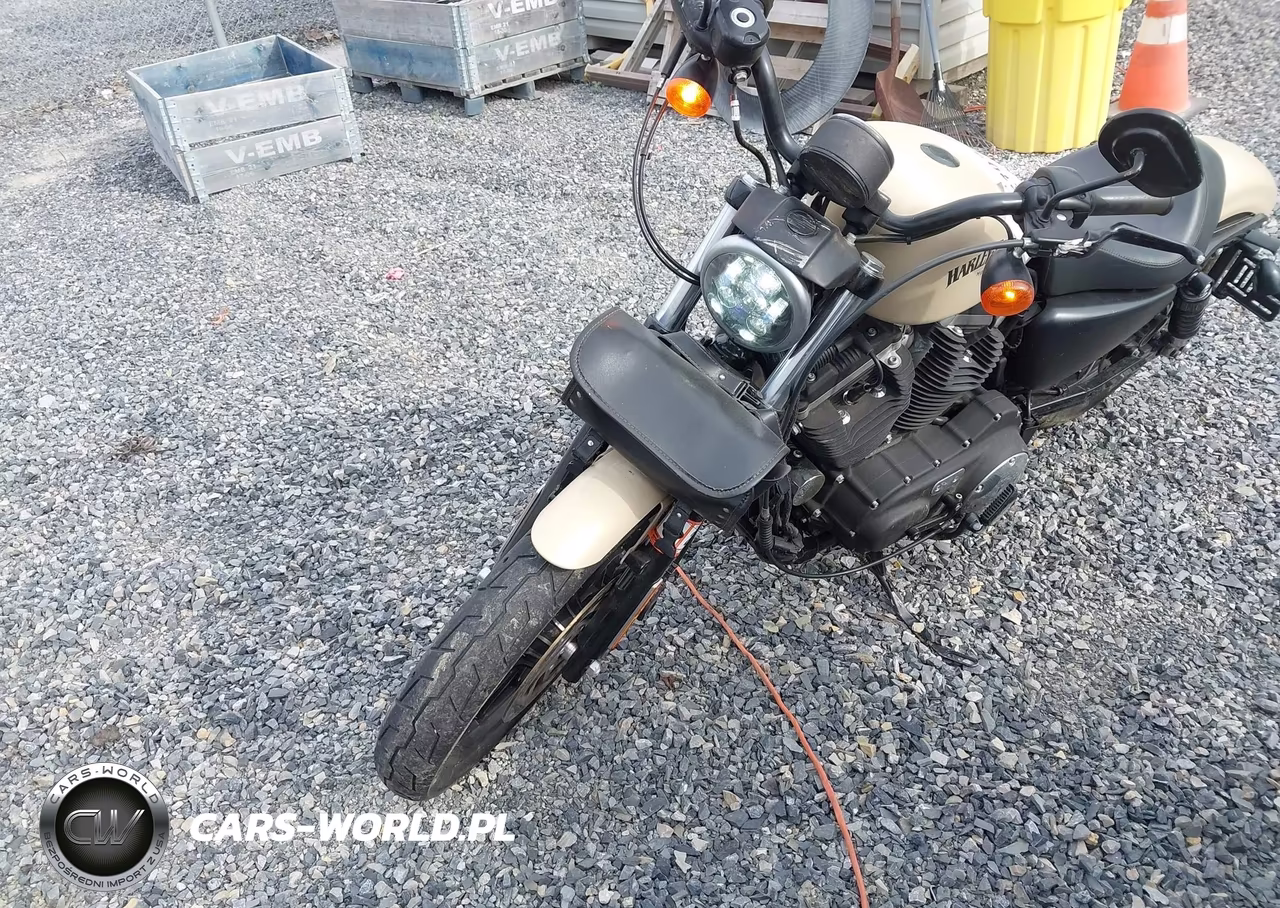 2015 Harley-Davidson Xl883 Iron 883 VIN:1HD4LE216FC436711 - 2