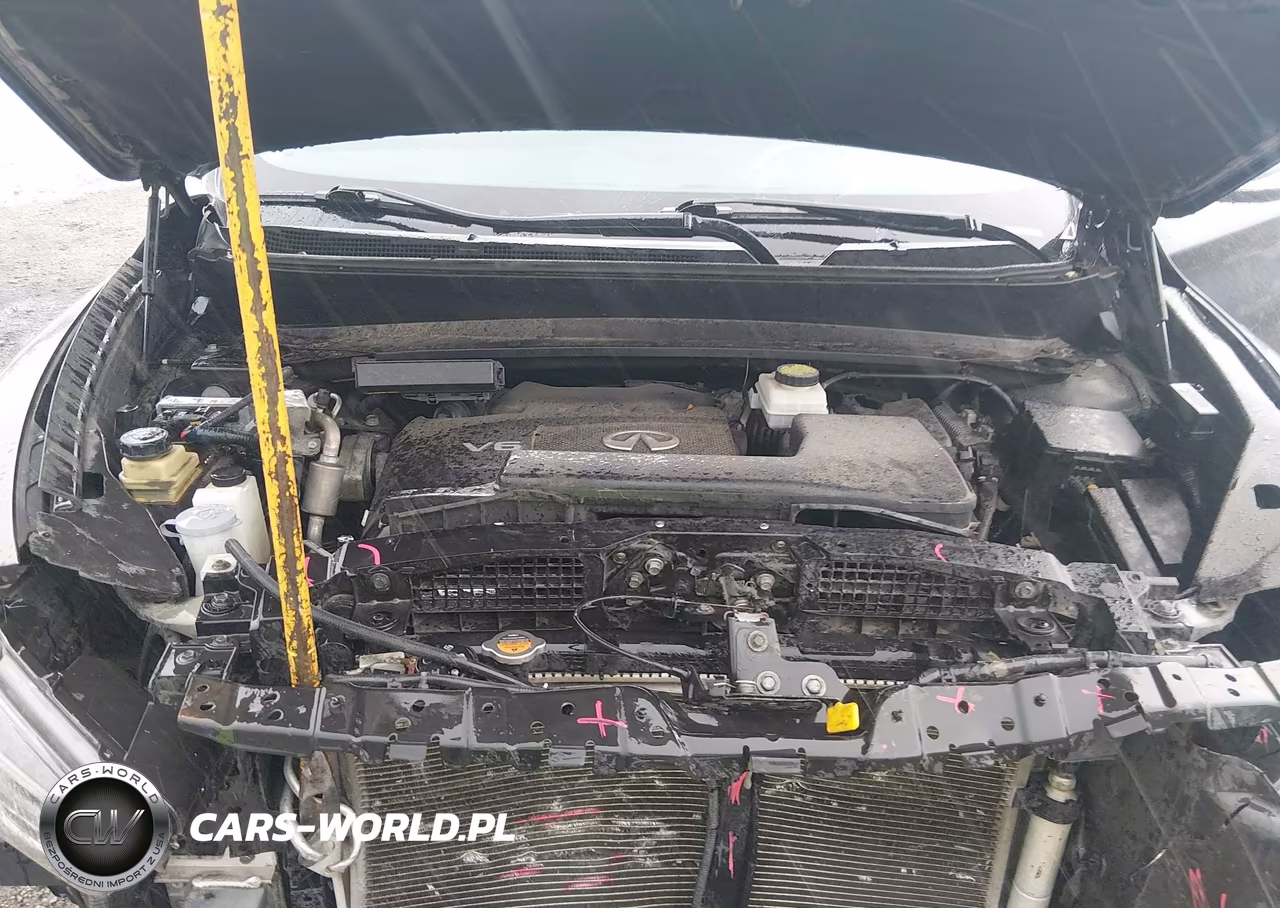 2019 Infiniti Qx60 Pure VIN:5N1DL0MN5KC549253 - 10
