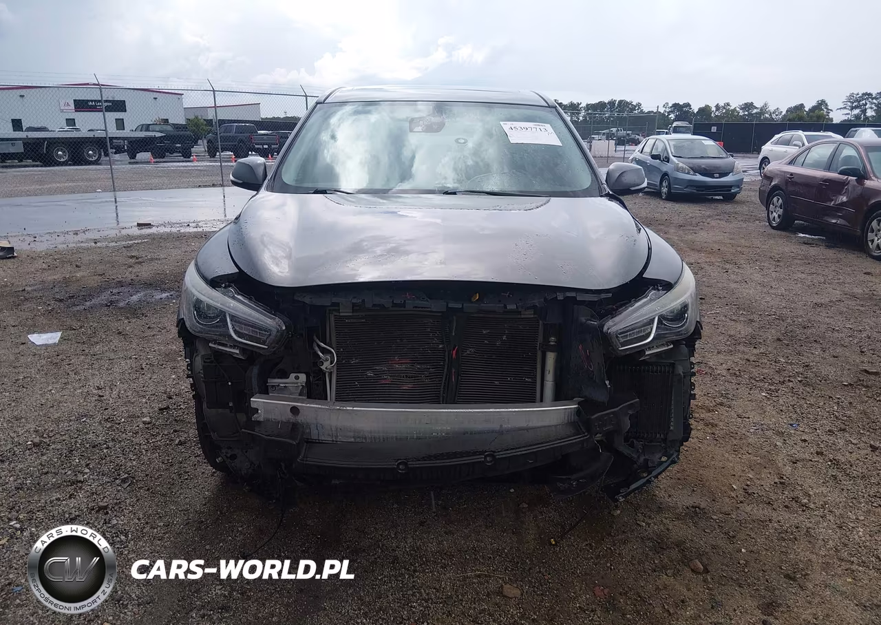 2019 Infiniti Qx60 Pure VIN:5N1DL0MN5KC549253 - 13
