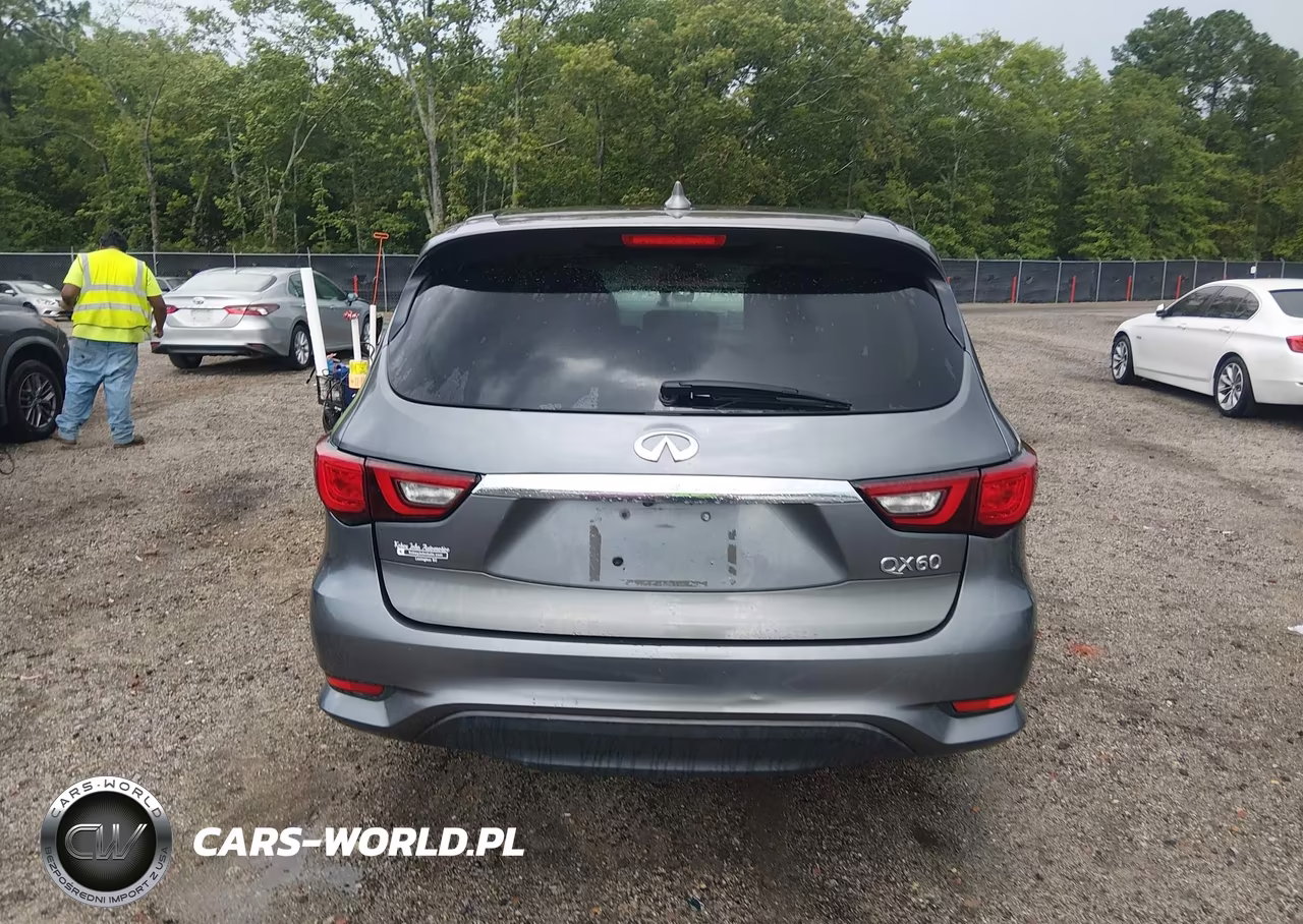 2019 Infiniti Qx60 Pure VIN:5N1DL0MN5KC549253 - 17