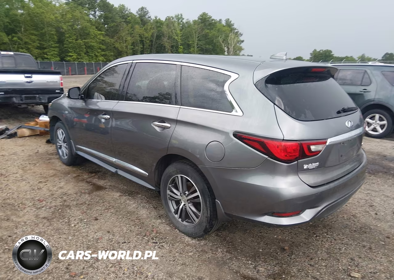 2019 Infiniti Qx60 Pure VIN:5N1DL0MN5KC549253 - 3