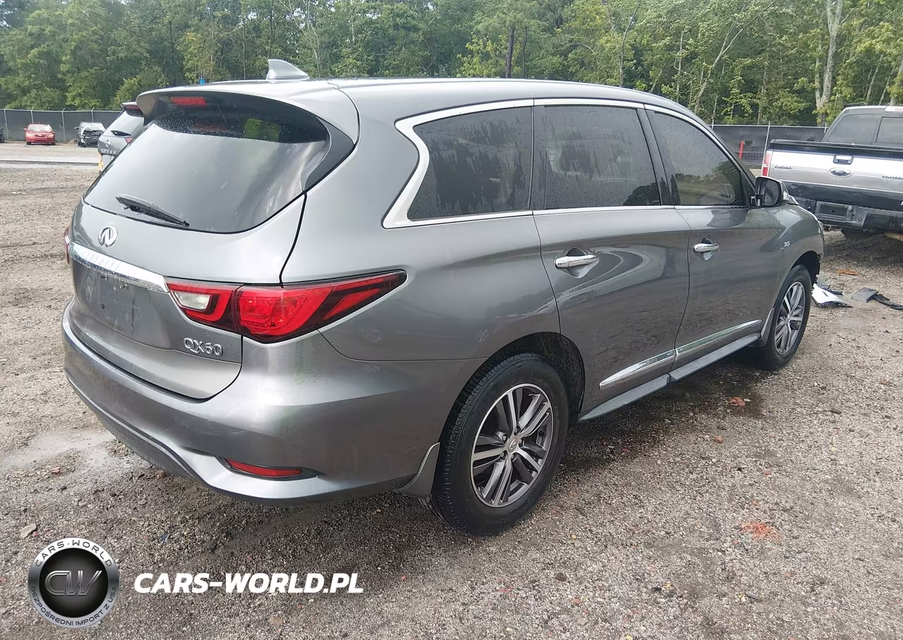 2019 Infiniti Qx60 Pure VIN:5N1DL0MN5KC549253 - 4