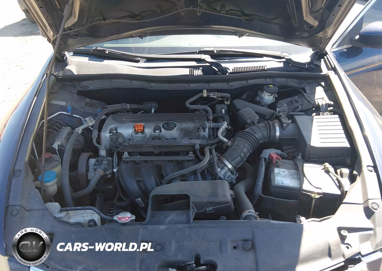 2010 Honda Accord 2.4 Lx VIN:1HGCP2F34AA139213 - 10