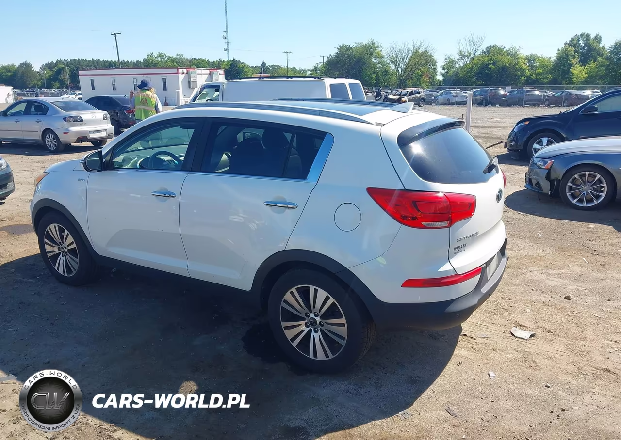 2016 Kia Sportage Ex VIN:KNDPCCAC6G7862334 - 3