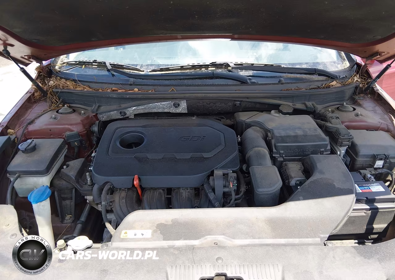 2016 Hyundai Sonata Se VIN:5NPE24AF2GH307791 - 10