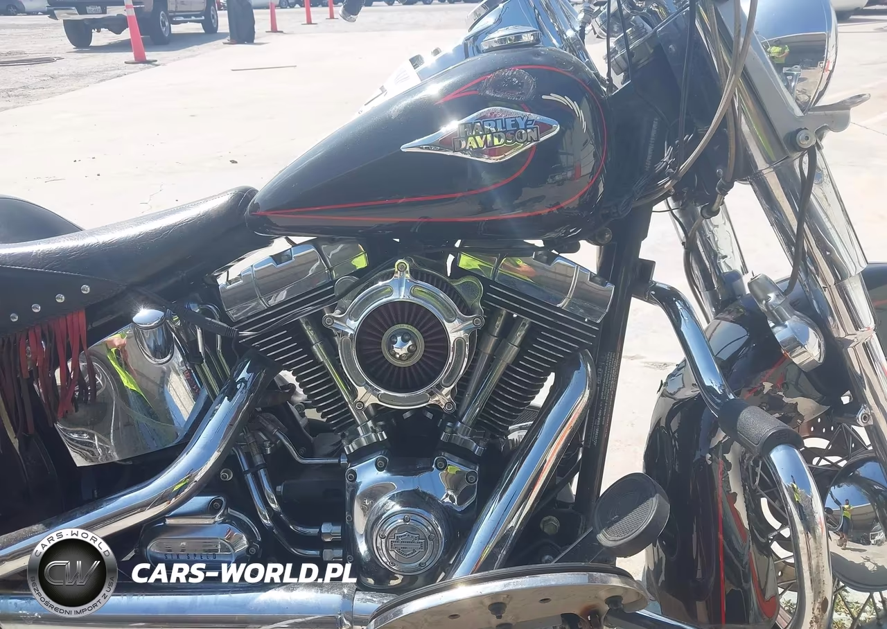 2011 Harley-Davidson Flstc VIN:1HD1BW511BB030729 - 8