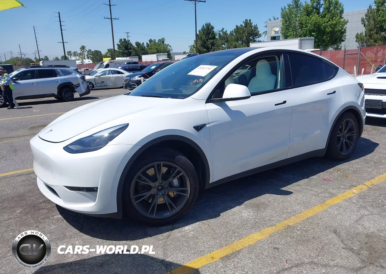 2024 Tesla Model Y Long Range Dual Motor All-Wheel Drive VIN:7SAYGAEE2RF111773 - 2