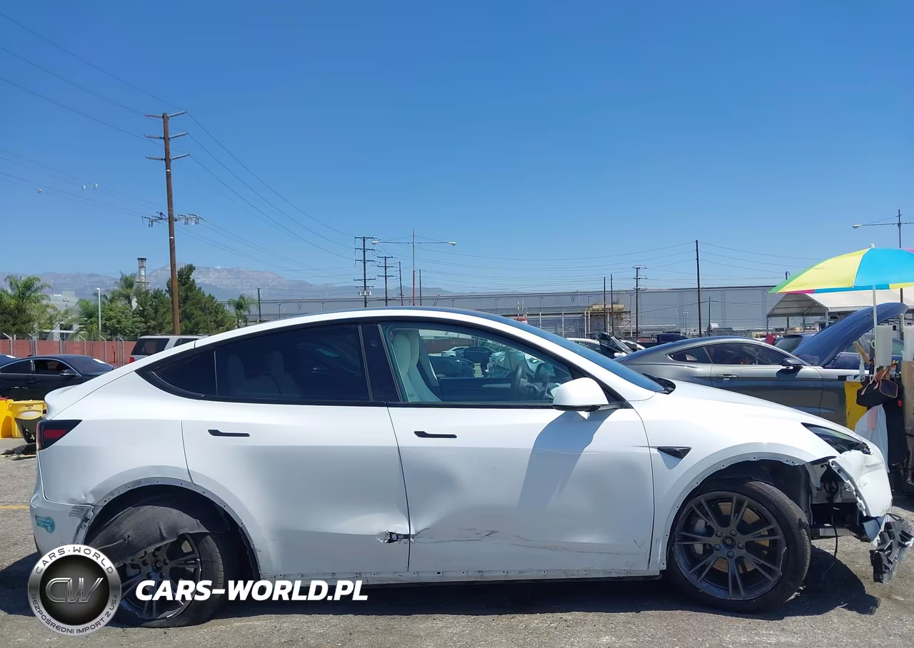 2024 Tesla Model Y Long Range Dual Motor All-Wheel Drive VIN:7SAYGAEE2RF111773 - 20