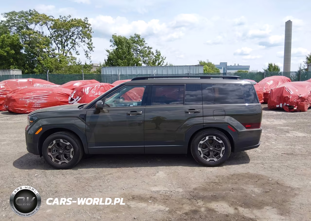 2025 Hyundai Santa Fe Sel VIN:5NMP2DGL5SH143612 - 14
