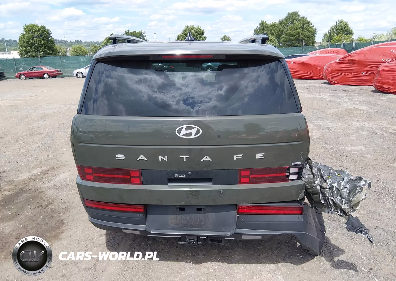 2025 Hyundai Santa Fe Sel VIN:5NMP2DGL5SH143612 - 16