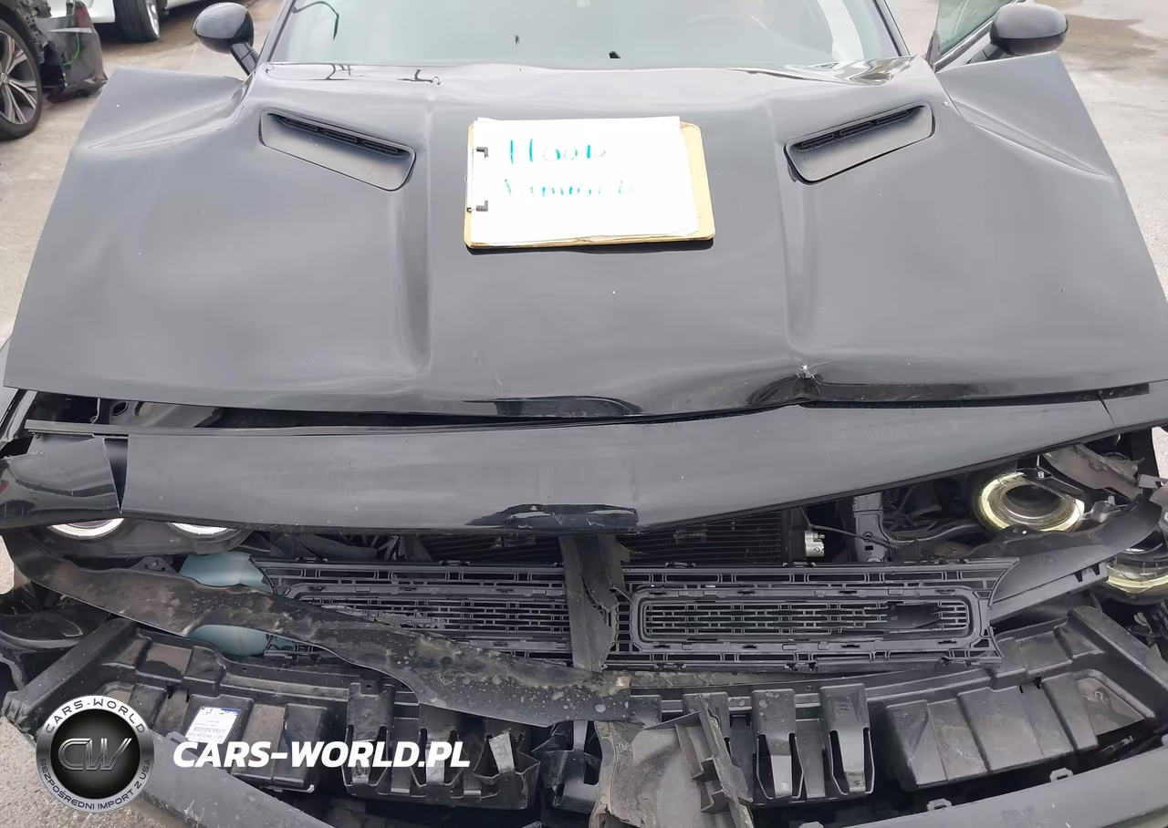 2021 Dodge Challenger Sxt VIN:2C3CDZAG4MH560465 - 10