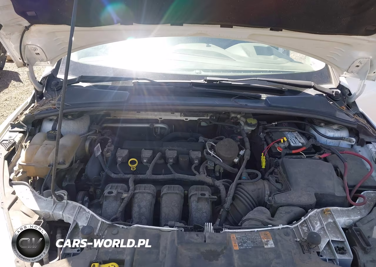 2016 Ford Focus Se VIN:1FADP3K29GL203660 - 10