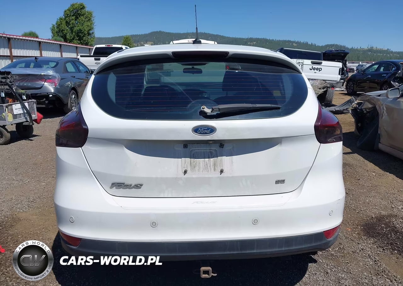 2016 Ford Focus Se VIN:1FADP3K29GL203660 - 16