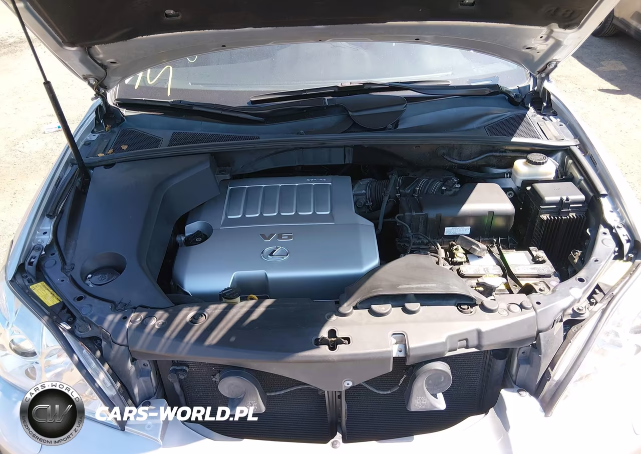 2009 Lexus Rx 350 VIN:2T2HK31U09C123750 - 10