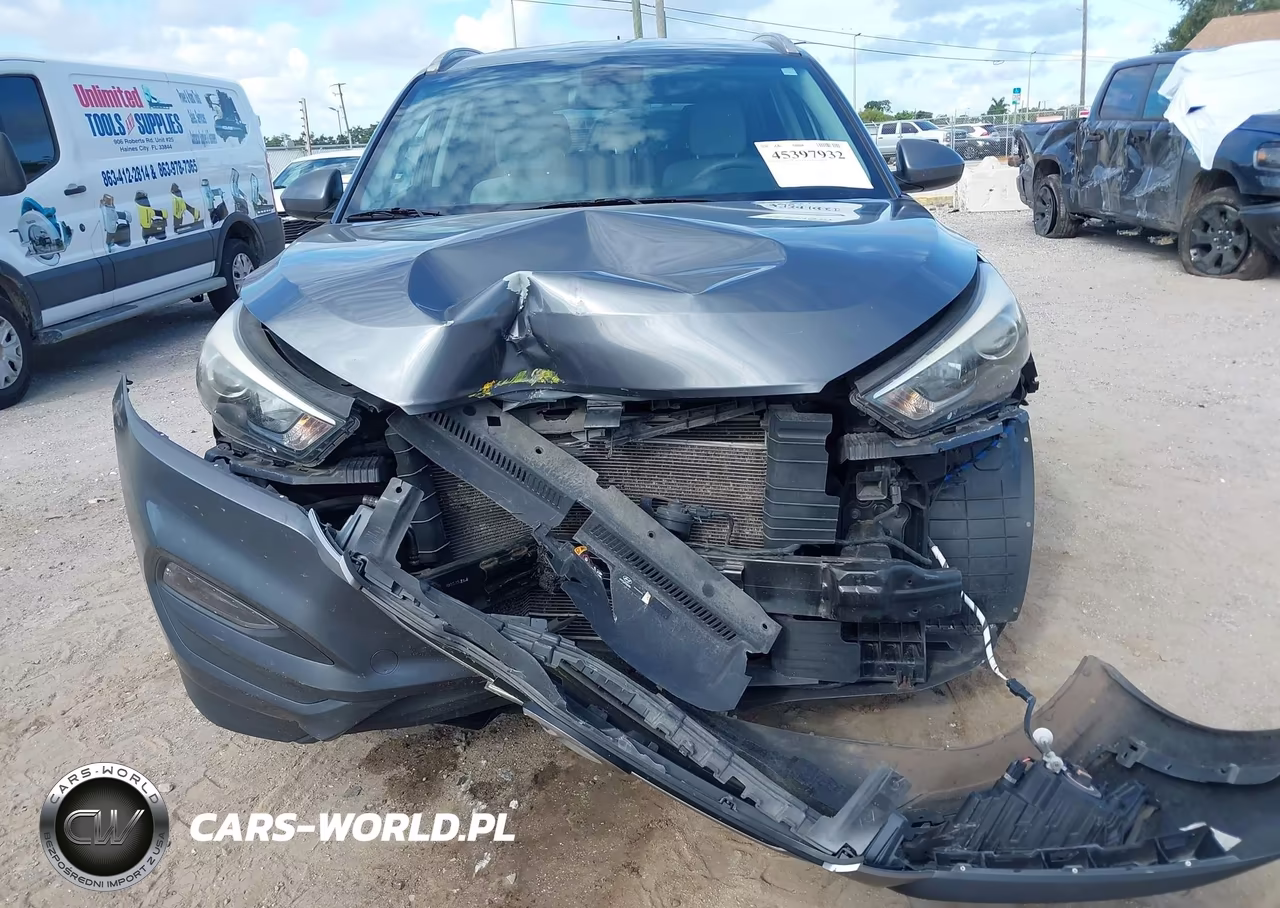 2017 Hyundai Tucson Se VIN:KM8J33A45HU391290 - 6