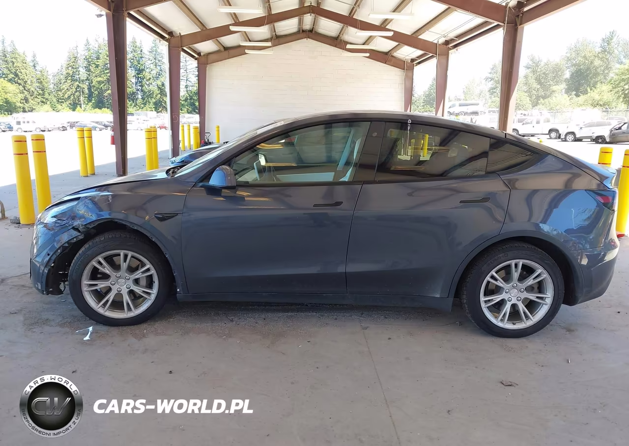 2020 Tesla Model Y Long Range Dual Motor All-Wheel Drive VIN:5YJYGDEE1LF018006 - 13