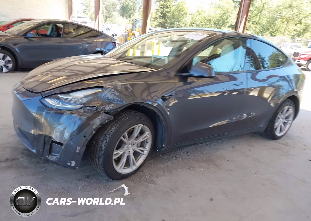 2020 Tesla Model Y Long Range Dual Motor All-Wheel Drive VIN:5YJYGDEE1LF018006 - 2