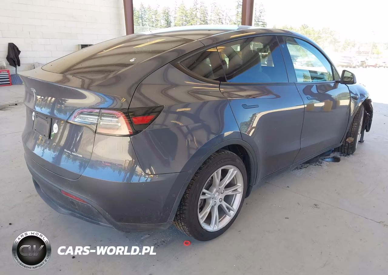 2020 Tesla Model Y Long Range Dual Motor All-Wheel Drive VIN:5YJYGDEE1LF018006 - 4