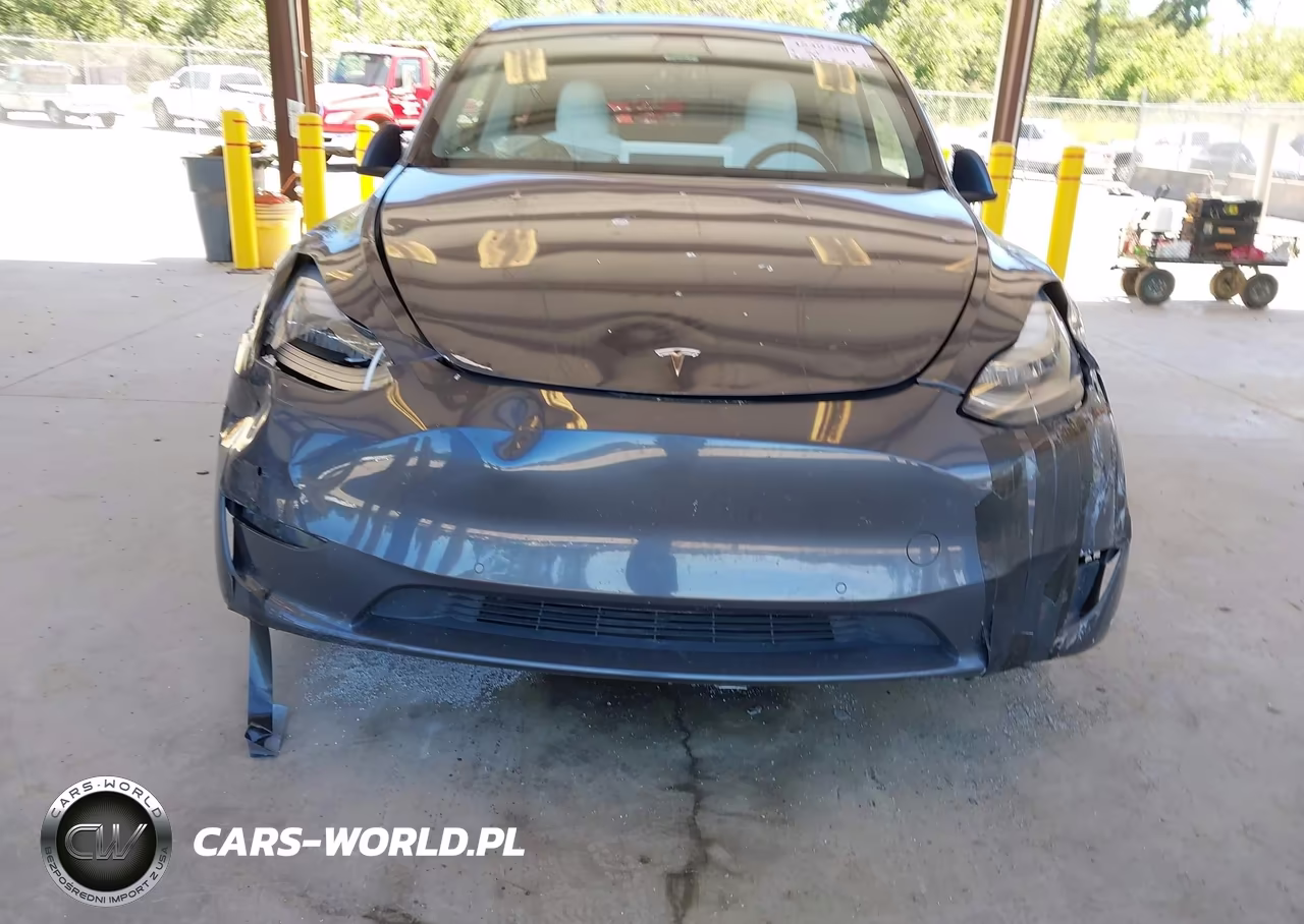 2020 Tesla Model Y Long Range Dual Motor All-Wheel Drive VIN:5YJYGDEE1LF018006 - 6