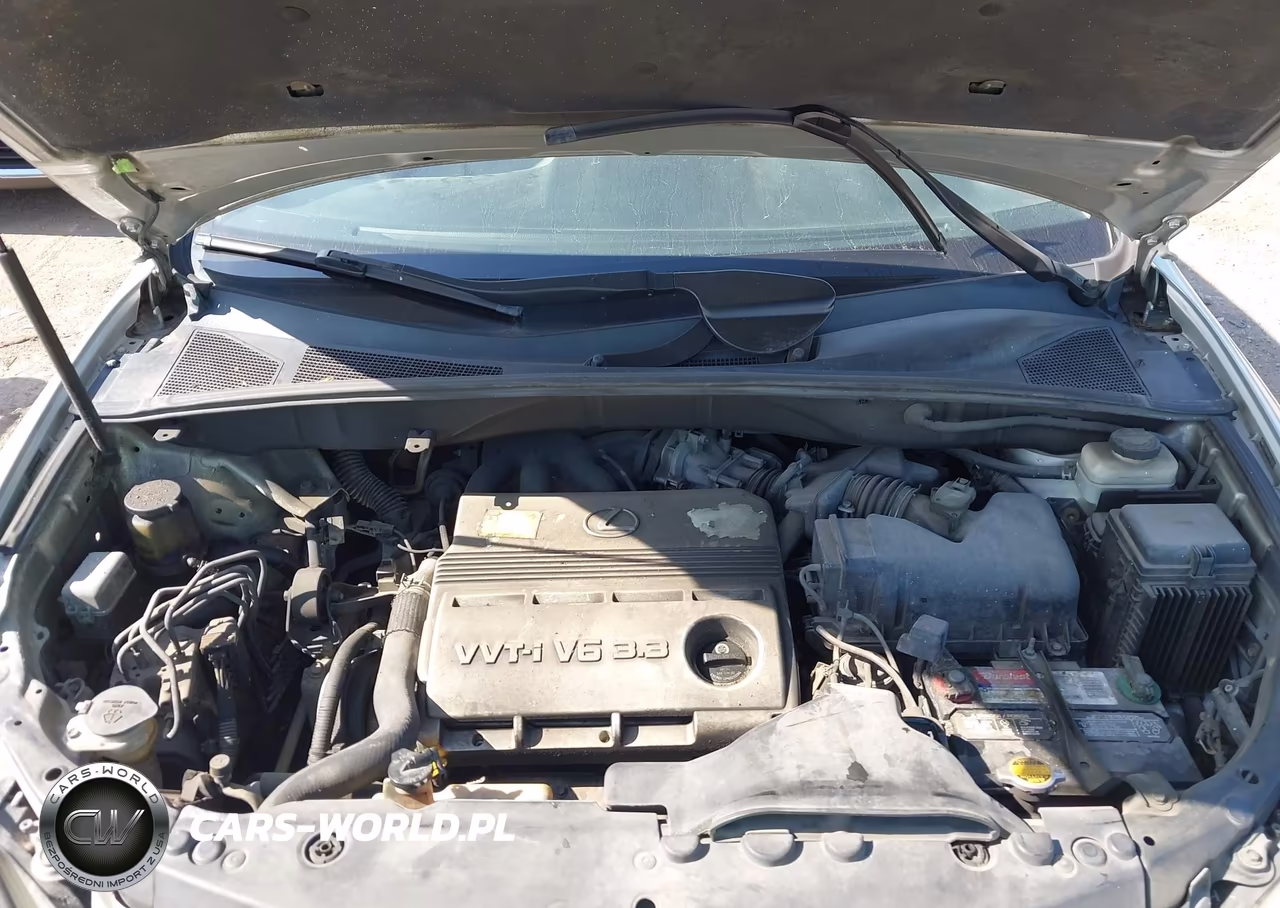 2004 Lexus Rx 330 VIN:2T2GA31UX4C015871 - 10