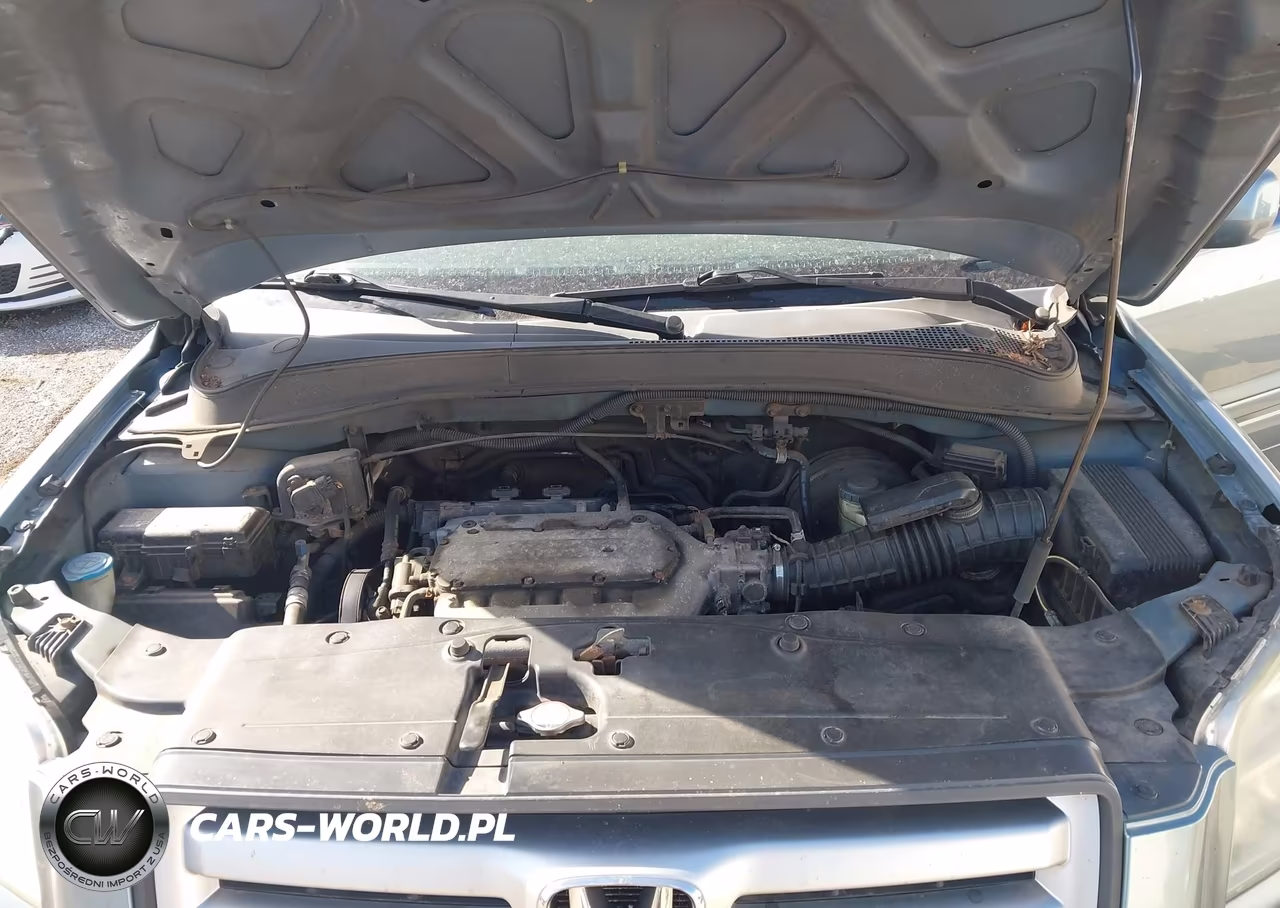 2006 Honda Pilot Ex-L VIN:5FNYF28526B021696 - 10