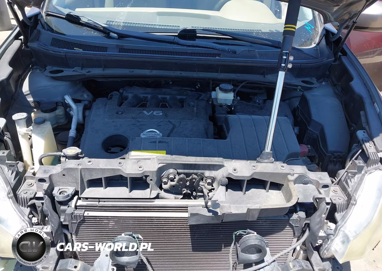 2009 Nissan Murano Sl VIN:JN8AZ18U09W024191 - 10