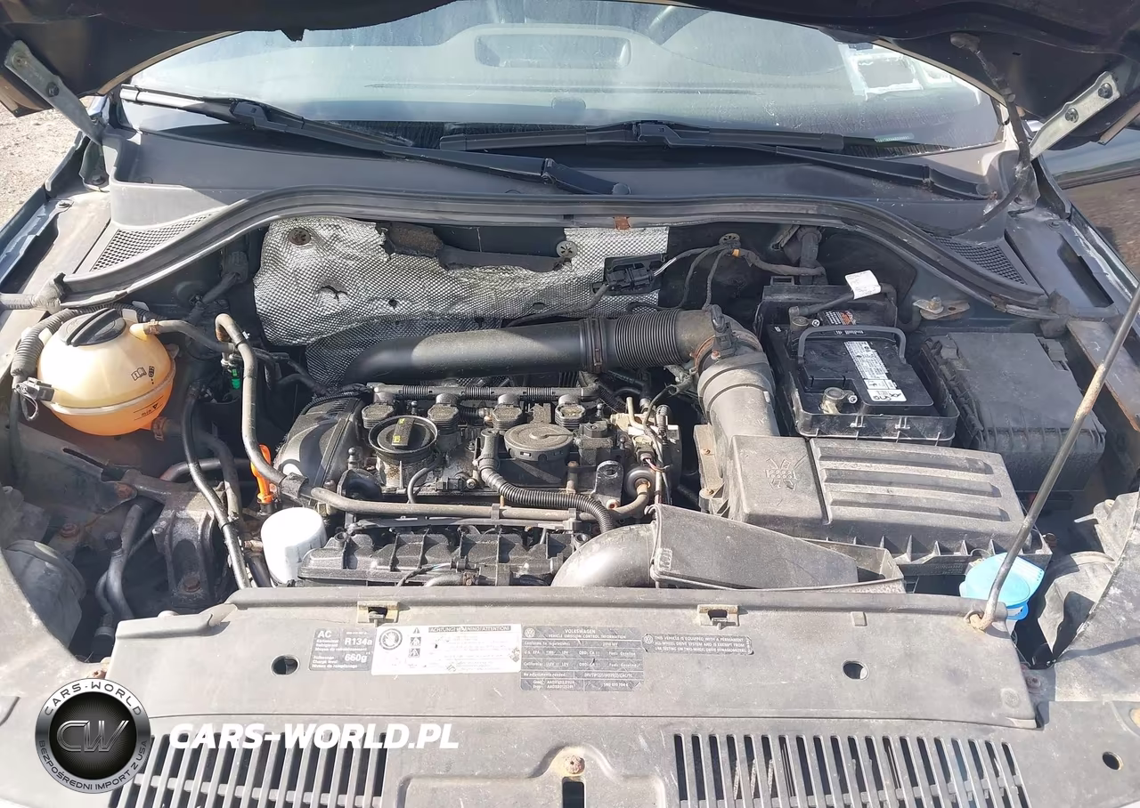 2010 Volkswagen Tiguan Se VIN:WVGBV7AX9AW500991 - 10