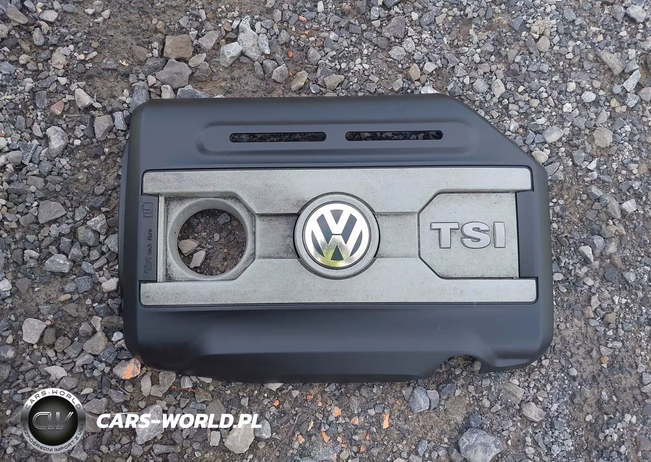 2010 Volkswagen Tiguan Se VIN:WVGBV7AX9AW500991 - 12