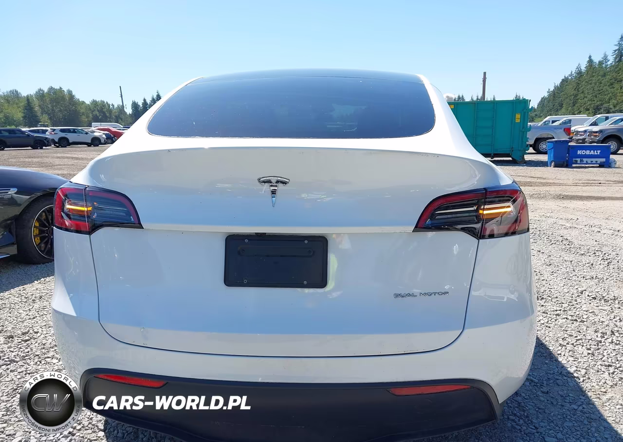 2023 Tesla Model Y Awd-Long Range Dual Motor All-Wheel Drive VIN:7SAYGDEE1PF825103 - 17