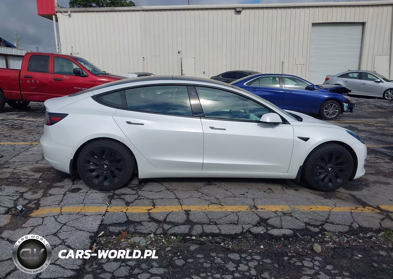 2021 Tesla Model 3 Standard Range Plus Rear-Wheel Drive VIN:5YJ3E1EA3MF062182 - 12