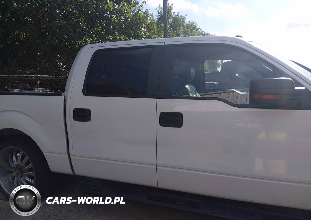 2010 Ford F-150 Xlt VIN:1FTFW1CV6AFB66138 - 13