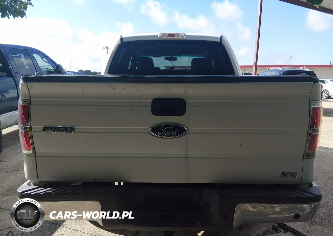 2010 Ford F-150 Xlt VIN:1FTFW1CV6AFB66138 - 16