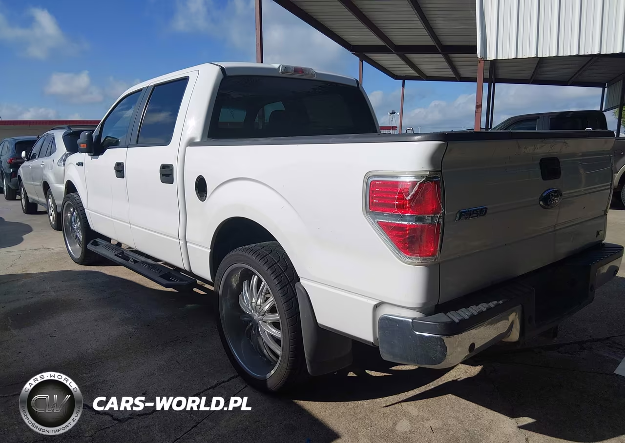 2010 Ford F-150 Xlt VIN:1FTFW1CV6AFB66138 - 3