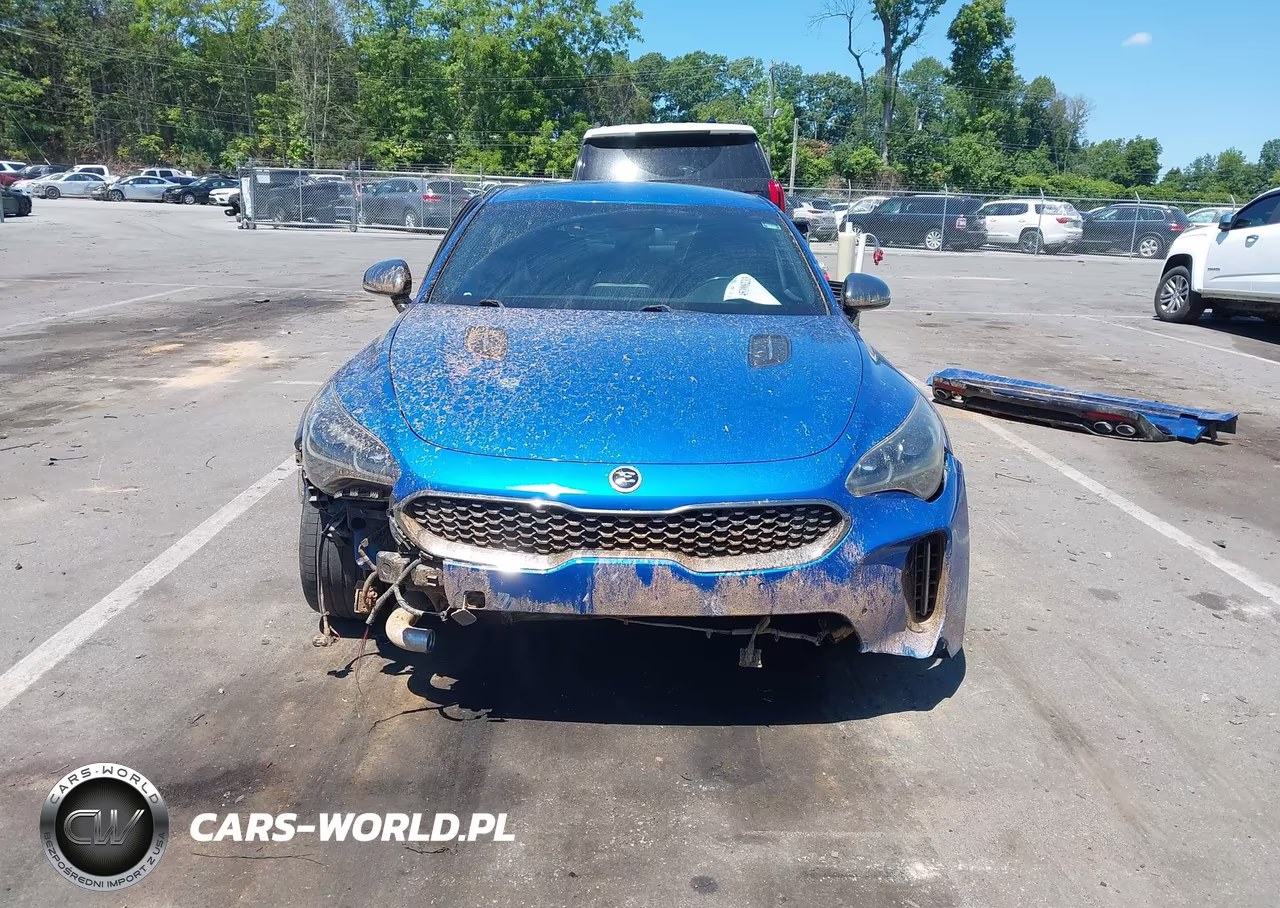 2019 Kia Stinger Gt VIN:KNAE35LC4K6052261 - 13