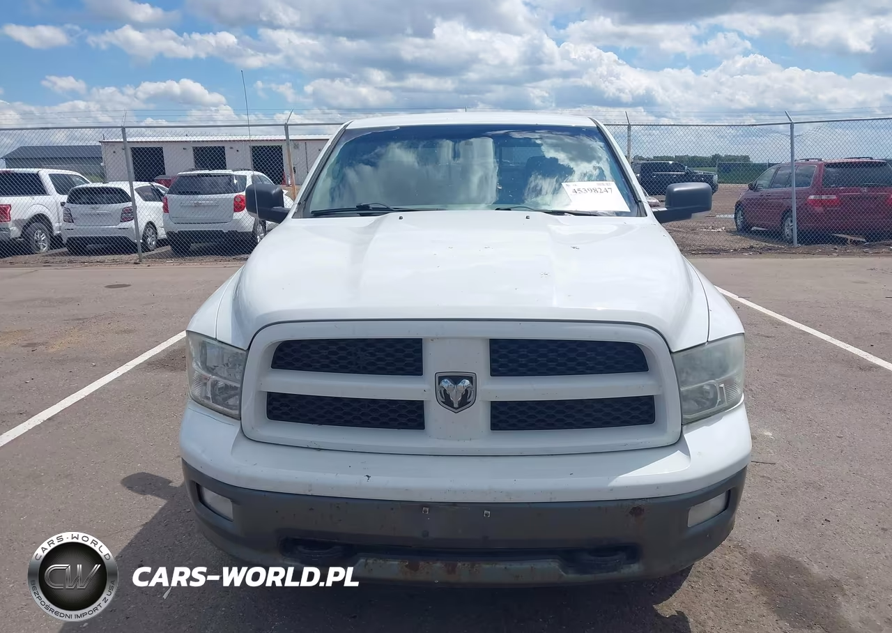 2010 Dodge Ram 1500 Slt-Sport-Trx VIN:1D7RV1CT9AS218468 - 12