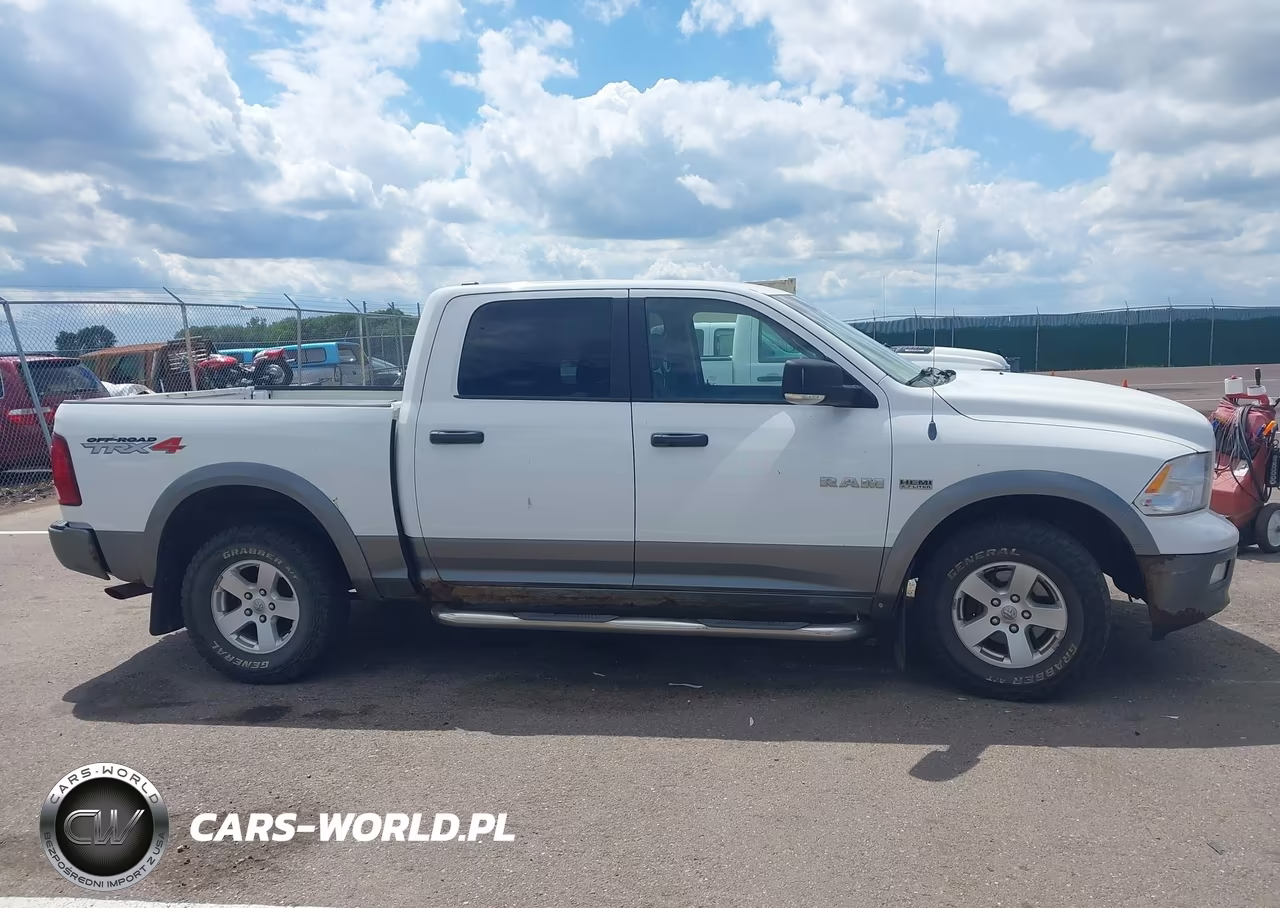 2010 Dodge Ram 1500 Slt-Sport-Trx VIN:1D7RV1CT9AS218468 - 13