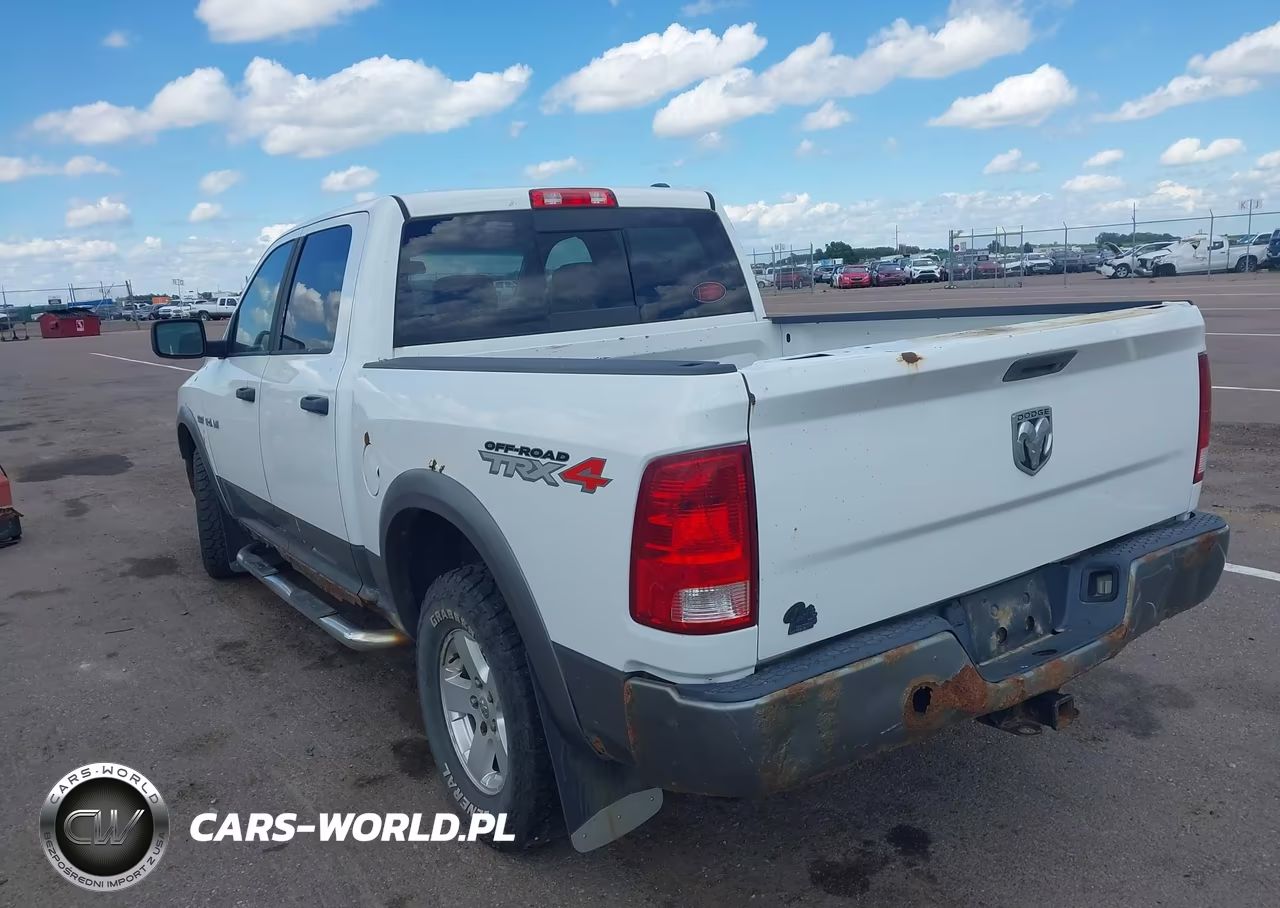 2010 Dodge Ram 1500 Slt-Sport-Trx VIN:1D7RV1CT9AS218468 - 3