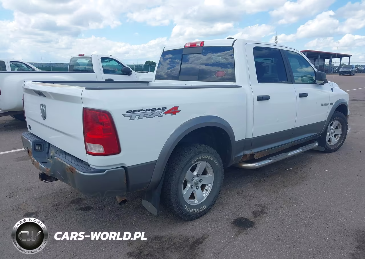 2010 Dodge Ram 1500 Slt-Sport-Trx VIN:1D7RV1CT9AS218468 - 4