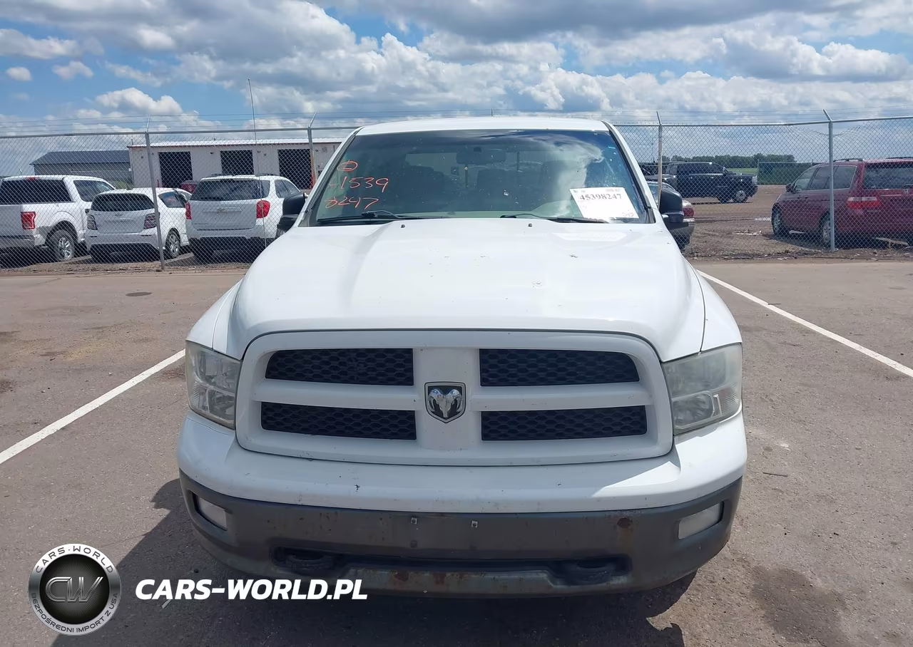 2010 Dodge Ram 1500 Slt-Sport-Trx VIN:1D7RV1CT9AS218468 - 6