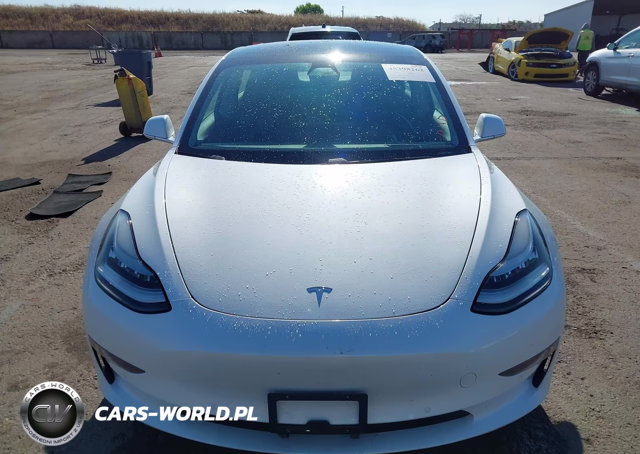 2019 Tesla Model 3 Long Range-Mid Range-Standard Range-Standard Range Plus VIN:5YJ3E1EA9KF347269 - 11
