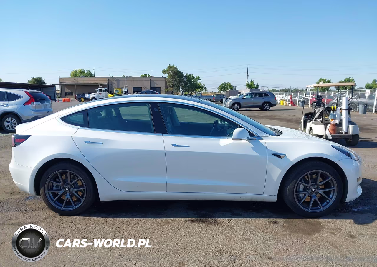 2019 Tesla Model 3 Long Range-Mid Range-Standard Range-Standard Range Plus VIN:5YJ3E1EA9KF347269 - 12